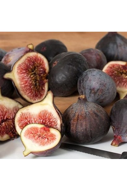 Инжир Техас Эверберинг